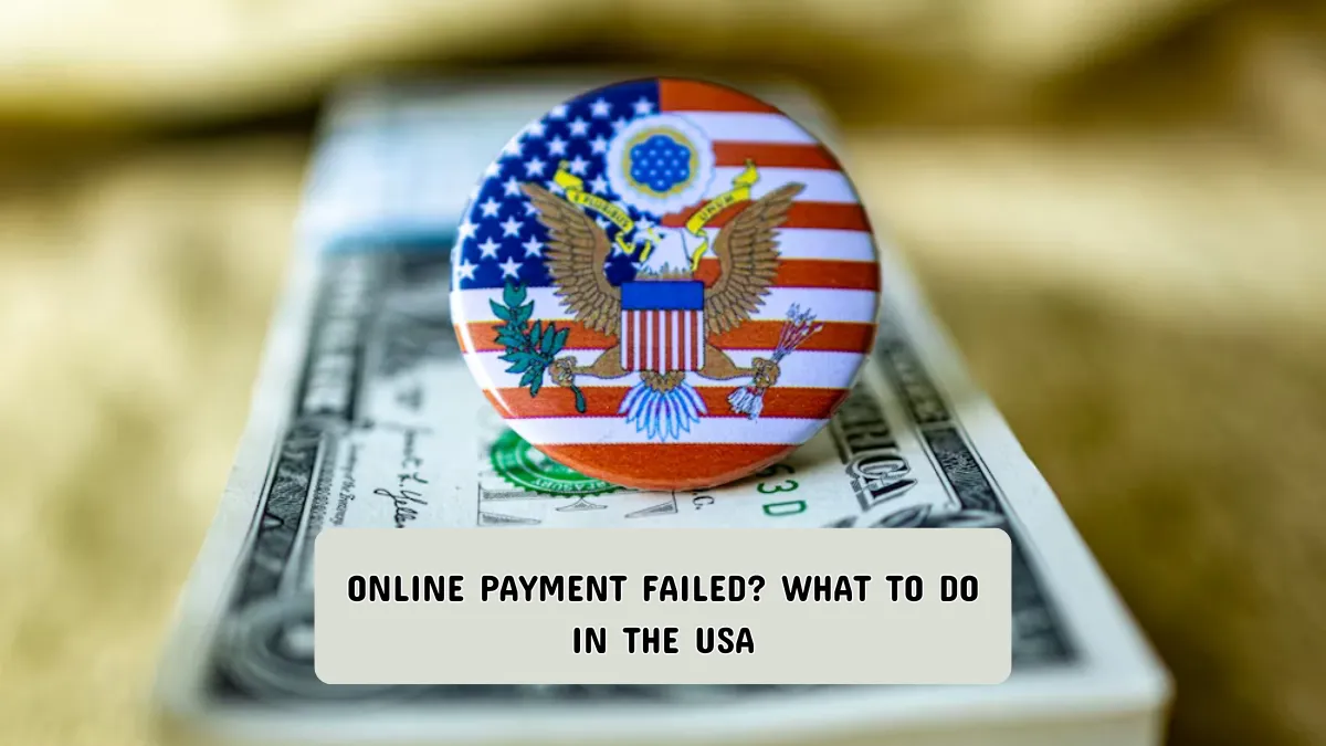 Online payment failed? What to do in the USA